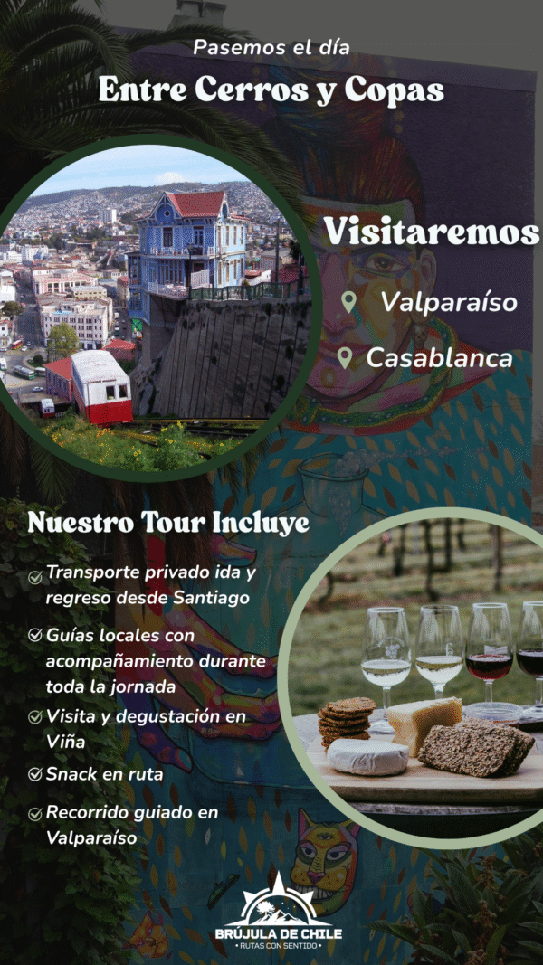 🍷Entre Cerros y Copas: Full day Valparaíso